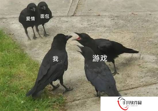 本站